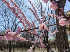 -大兴滨河森林公园