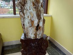 -韶关经律论国际酒店温泉