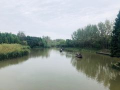 -溱湖国家湿地公园