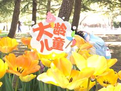 -石家庄市植物园