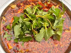 -彭大姐老店黄辣丁(新津店)