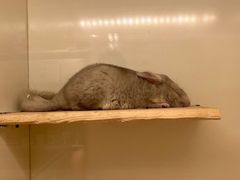 -龙猫仔乐园(惠福东路店)