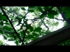 -同里国家湿地公园