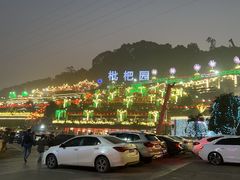 -枇杷园食为鲜火锅(南山店)