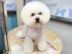 -宠颐生宠物医院·心肾内科·猫专科诊疗中心宠巢店