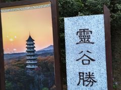 -灵谷景区