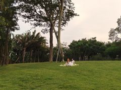-深圳湾公园(南山区)