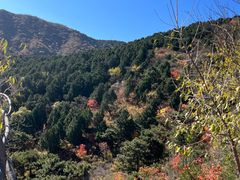 -香山公园