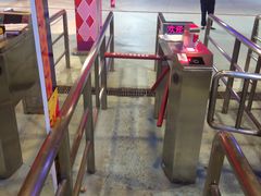 -广州长隆国际大马戏