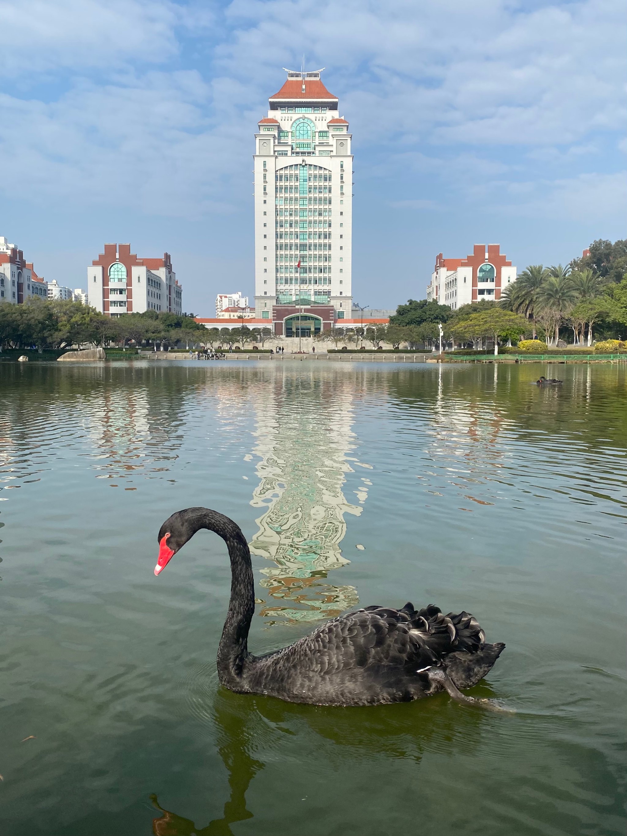 厦大我爱你再见高清图图片