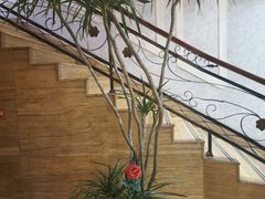 -益健·足疗汗蒸SPA(芙蓉广场店)