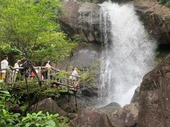 -广州白江湖森林公园