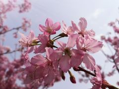 -福建鲤鱼洲酒店