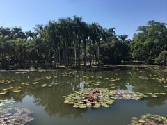 -中国科学院西双版纳热带植物园
