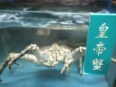 -青石桥市场北1-27号