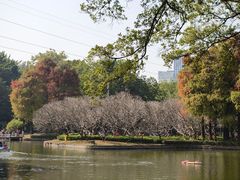 -晓港公园