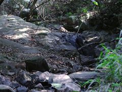 -梧桐山风景名胜区