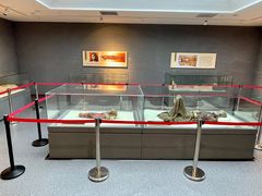 -巴音郭楞蒙古自治州博物馆