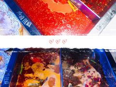 麻辣番茄锅-麻麻鱼府主题涮锅(明珠家园店)