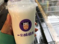 -一只酸奶牛(八一路店)