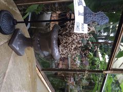 iphone_upload_pic-RGF(巨鹿路店)