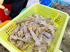 濑尿虾-老字号蛇口德记烧腊饭店·海鲜加工