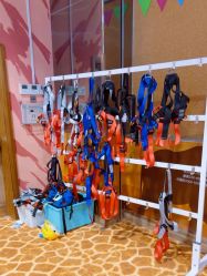 -卡通尼·Safari非洲探索乐园·生日会(金桥国际商业广场店)