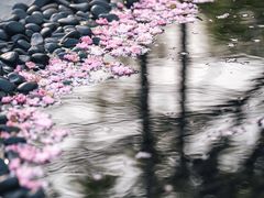 -木守西溪溪隐餐厅