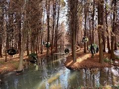 -捞渔河湿地公园