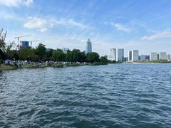 -桐乡凤凰湖
