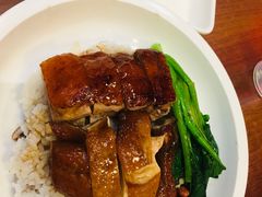 烧鸭豉油鸡双拼饭-德宏记·茶餐厅(新辰里学清路店)