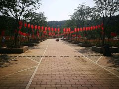 -绵阳盛世樱花悠乐谷