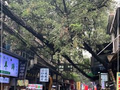 -回坊马二饺子馆