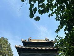 -泰山风景名胜区-虎山公园