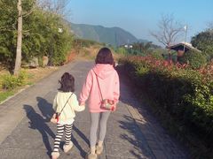 -帐篷客·溪龙茶谷度假酒店