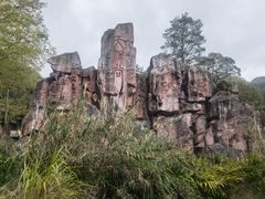 -韶关经律论国际酒店温泉