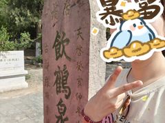 -云龙山