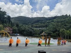 -西双版纳原始森林公园