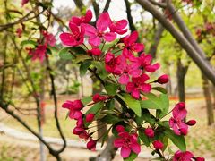 -元大都城垣遗址公园