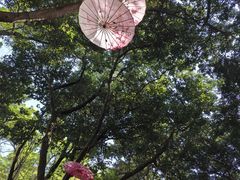 -广州市白云山风景名胜区