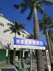 -飞览天下沉浸式飞行体验(北京旗舰店)