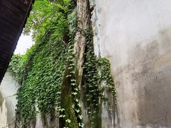 -乌镇东栅景区