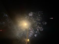 -碧海金沙