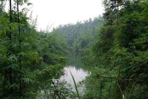 黑熊谷森林公园-"国庆想找一个人少景美免费的地方有多难? .