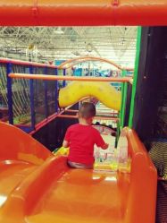 -爱丽丝奇幻乐园