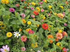 -三亚南山文化旅游区