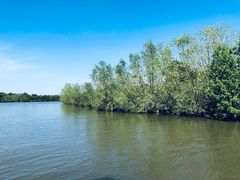 -东寨港红树林旅游区