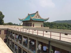 -武汉大学-樱园