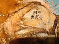 -阿五黄河大鲤鱼(英协路店)