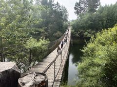 -北极村旅游风景区